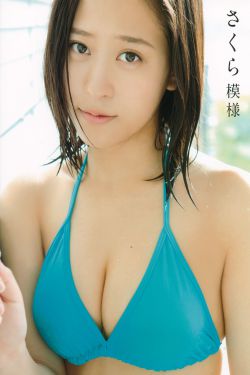 护心演员表